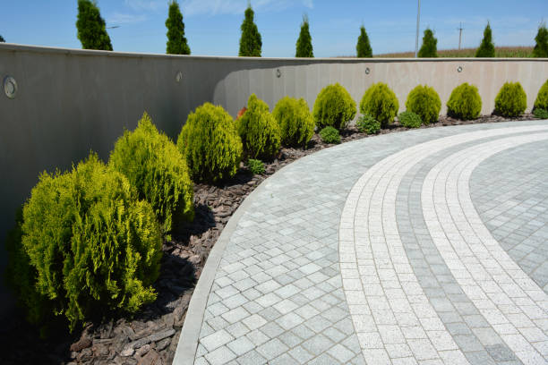 Best Driveway Pavers Near Me  in Madison, MS
